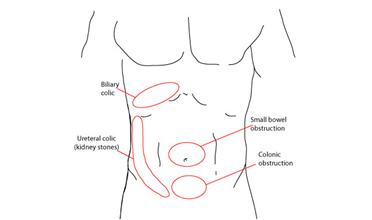 Read more for Ayurvedic Treatment of Anaemia Disease