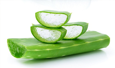 Read more for Ayurvedic Treatment of Anaemia Disease