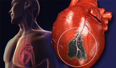 Read more for Ayurvedic Treatment of Anaemia Disease