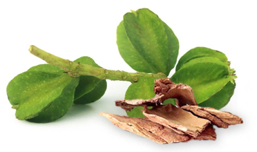 Read more for Ayurvedic Treatment of Anaemia Disease