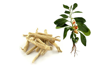 Read more for Ayurvedic Treatment of Anaemia Disease